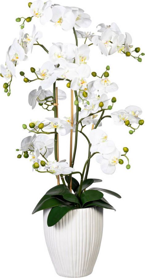 Kopu Kunstbloem Orchidee 110 Cm Wit Bloempot Rond Phalaenopsis