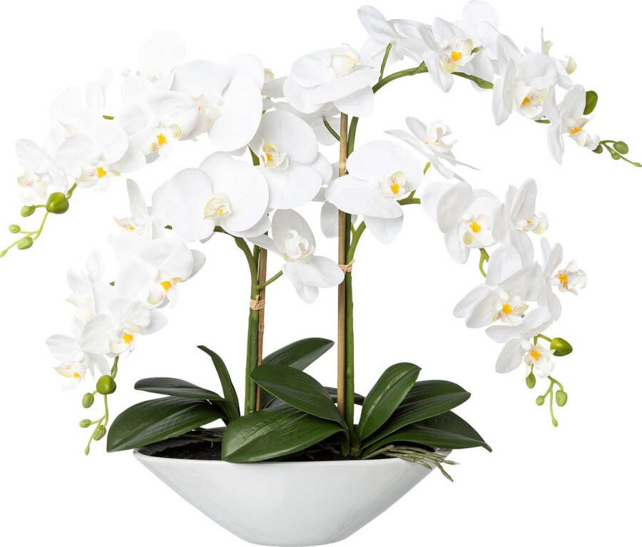 Kopu Kunstbloem Orchidee 53 cm Wit met Schaal Ovaal Phalenopsis
