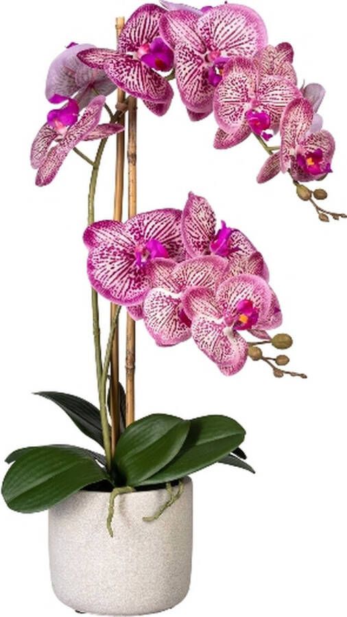 Kopu Kunstbloem Orchidee 60 cm Roze cement Sierpot Phalenopsis
