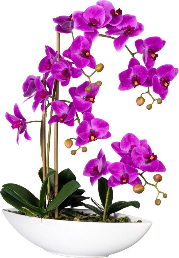 Kopu Kunstbloem Orchidee 60 cm Roze met Schaal Ovaal Phalaenopsis