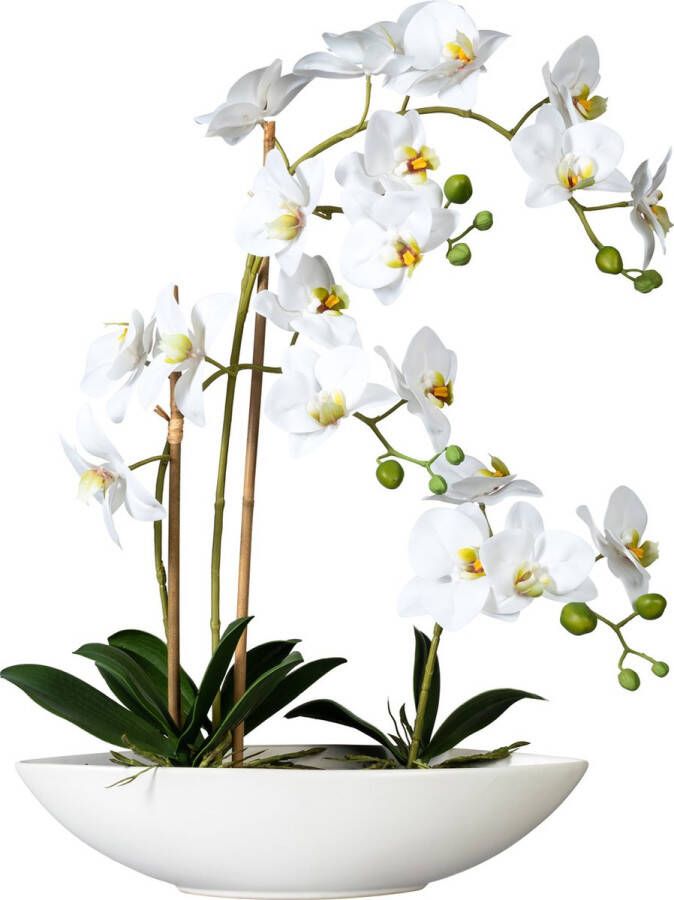 Kopu Kunstbloem Orchidee 60 cm Wit met Schaal Ovaal Phalenopsis