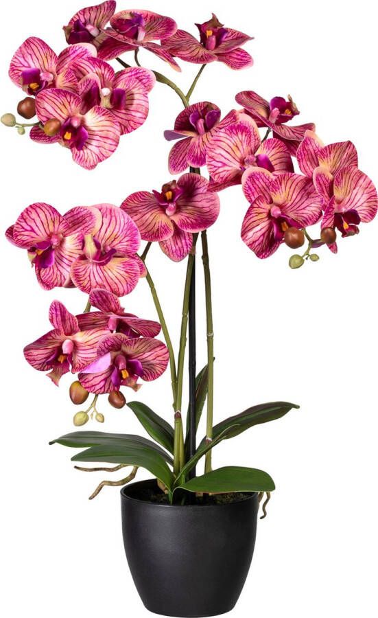 Kopu Kunstbloem Orchidee 65 cm Lila met zwarte Sierpot Phalenopsis