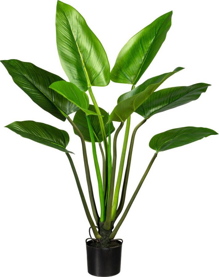 Kopu Kunstplant Agave 80 cm in zwarte Pot 2 stammen Nepplant