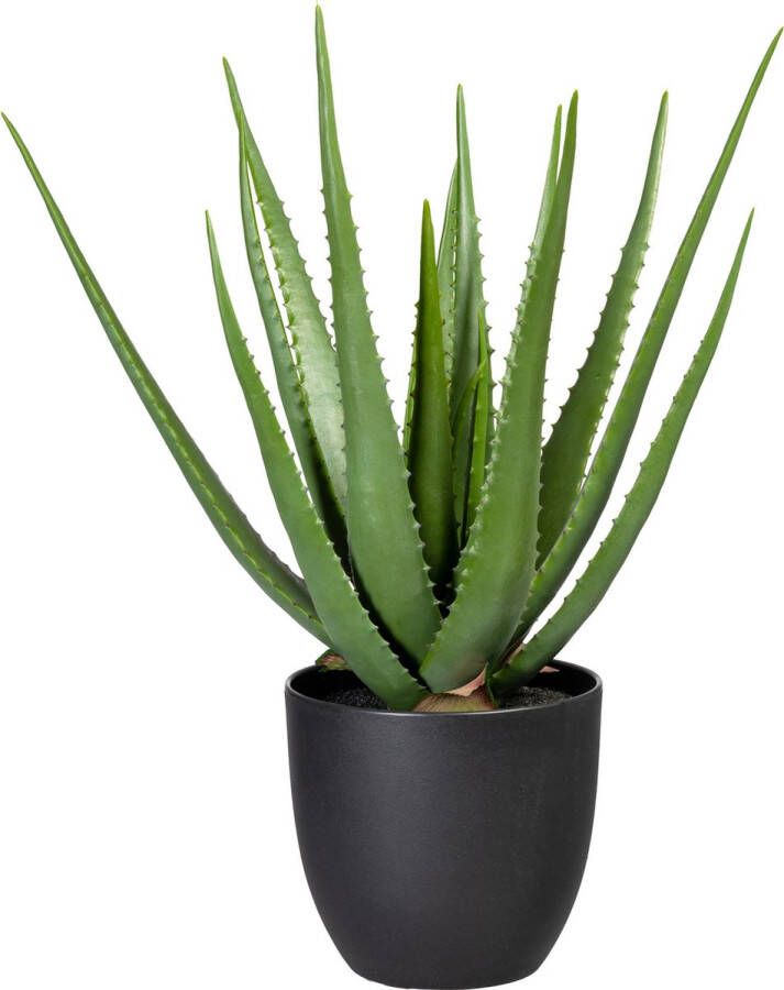 Kopu Kunstplant Aloe Vera 55 cm in zwarte Bloempot 17 bladeren