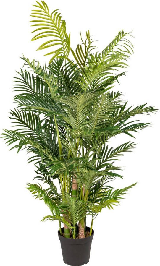 Kopu Kunstplant Arecapalm 170 cm 9 Stammen Real Touch Goudpalm
