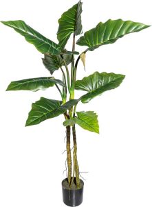 Kopu Kunstplant Colocasia 140 Cm 8 Bladeren In Zwarte Pot