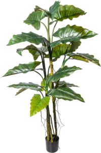 Kopu Kunstplant Colocasia 180 cm 19 bladeren in zwarte pot