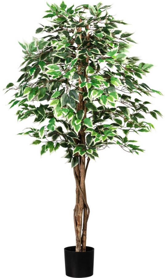 Kopu Kunstplant Ficus 150 cm 840 groen witte bladeren Natuurstam