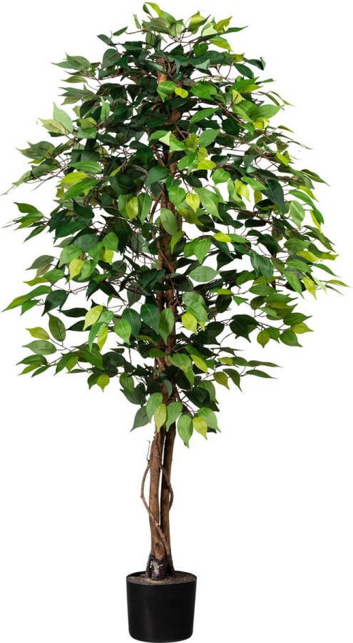 Kopu Kunstplant Ficus 150 cm in pot 840 bladeren met Natuurstam