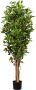 Kopu Kunstplant Ficus Smal 150 Cm In Pot Met Natuurstam - Thumbnail 1