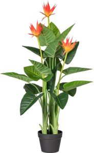 Kopu Kunstplant Guzmania 105 cm met 3 oranje bloemen Nepplant