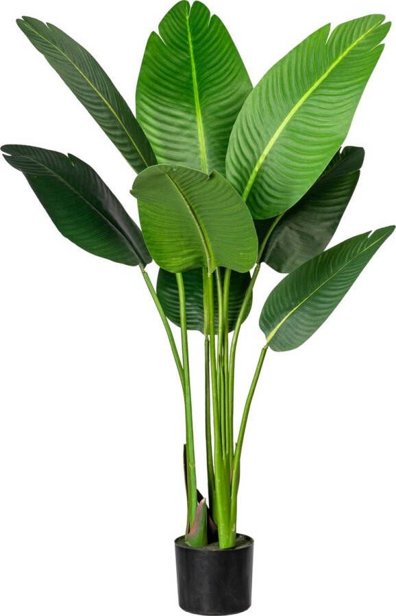 Kopu Kunstplant Strelitzia Nicolai 120 cm Paradijsvogelplant 8 blad