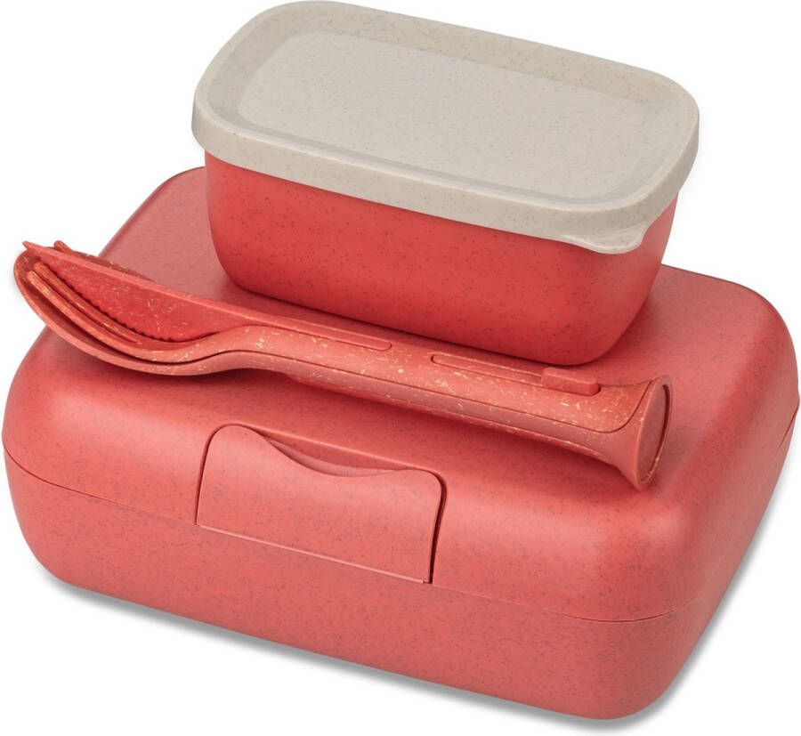 Koziol Lunchbox- en Bestekset Organic Natuur Koraal | Candy Ready