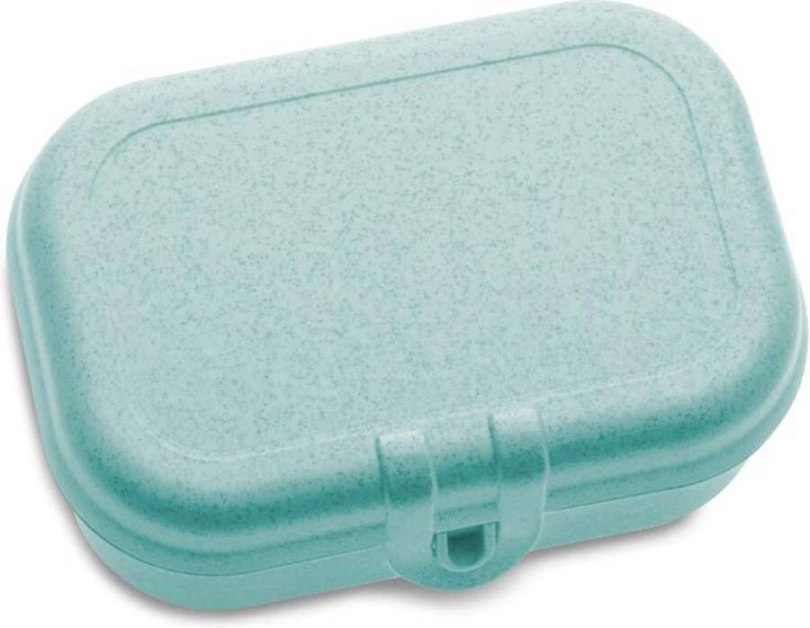 Koziol Lunchbox Klein Organic Aqua | Pascal S