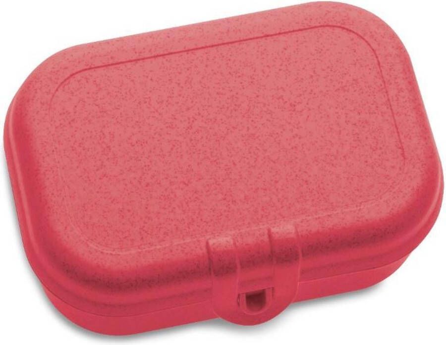 Koziol Lunchbox Klein Organic Koraal | Pascal S
