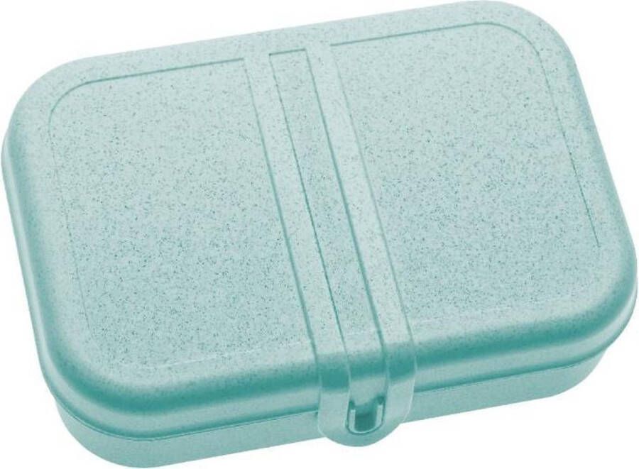 Koziol Pascal L Organic lichtblauwe lunchbox met verdeler