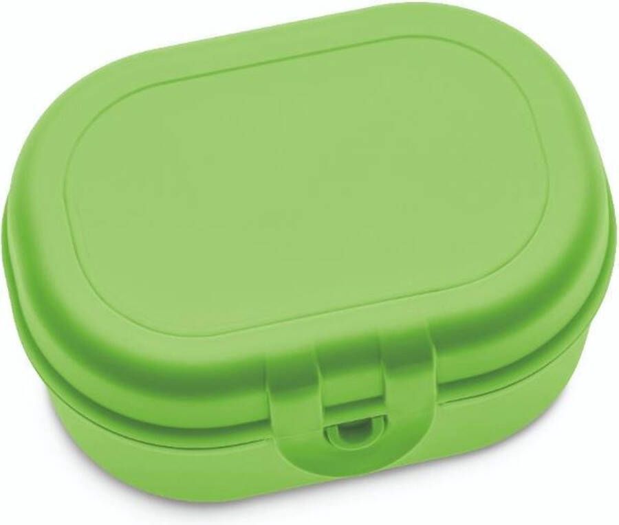 Koziol Lunchbox Mini Healthy Groen | Pascal Mini