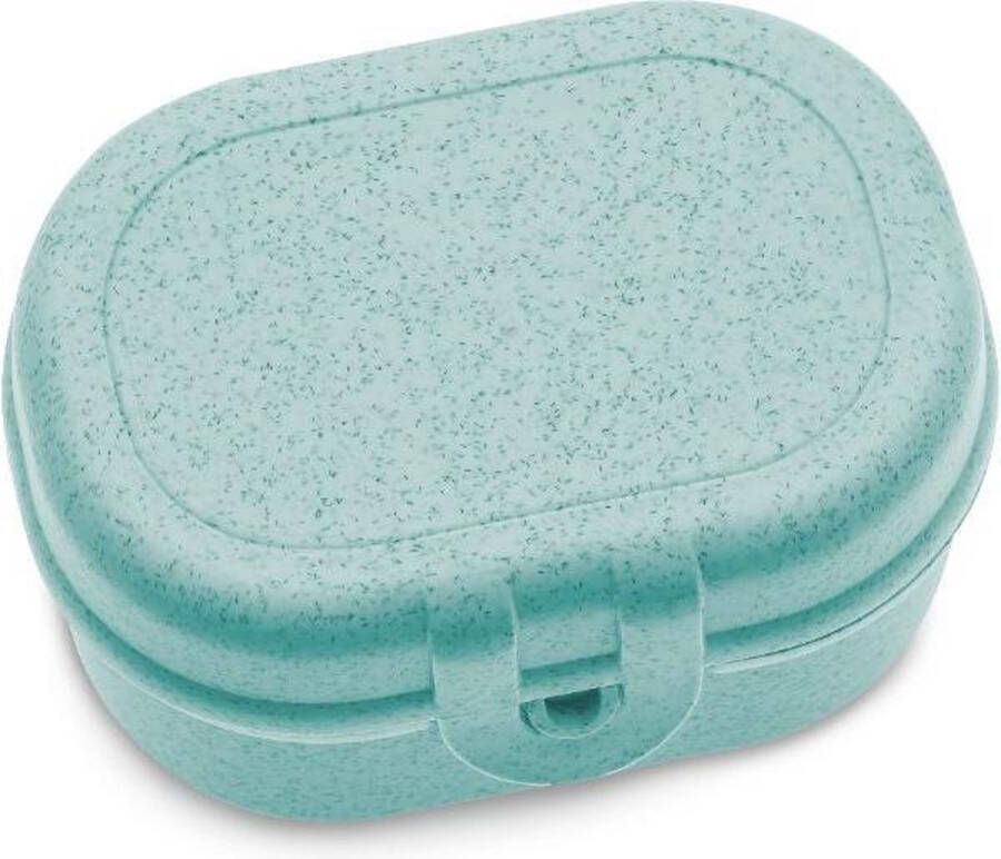 Koziol Lunchbox Mini Organic Aqua | Pascal Mini