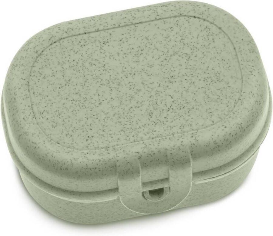 Koziol Lunchbox Mini Organic Groen | Pascal Mini