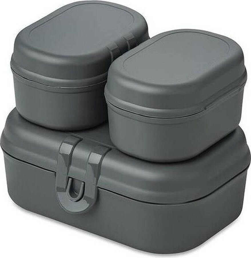 Koziol Lunchbox Set Mini 3 Delig Organic As Grijs | Pascal Ready Mini