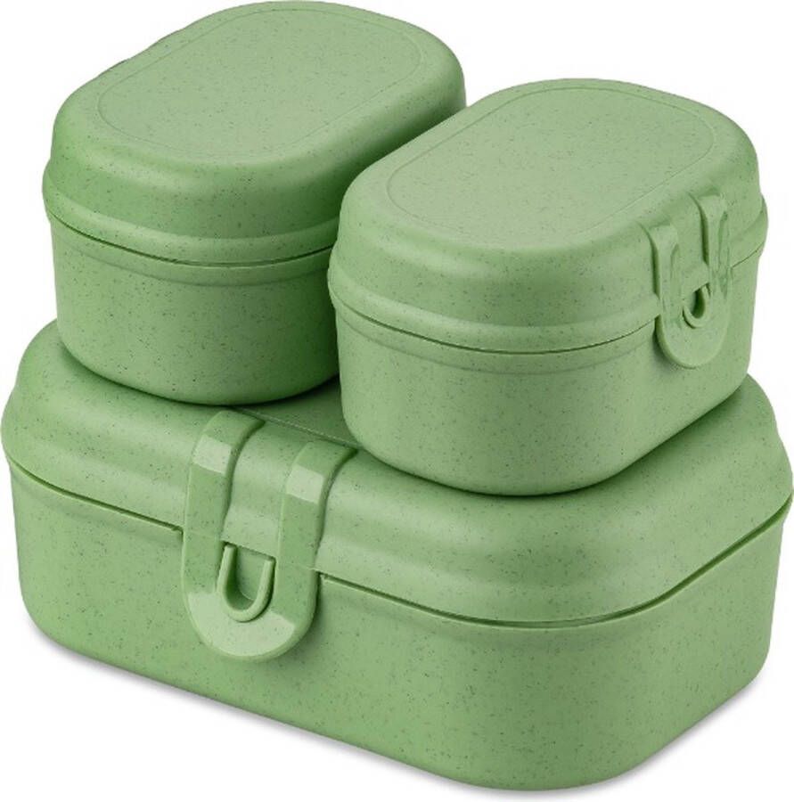 Koziol Lunchbox Set Mini 3 Delig Organic Blad Groen | Pascal Ready Mini