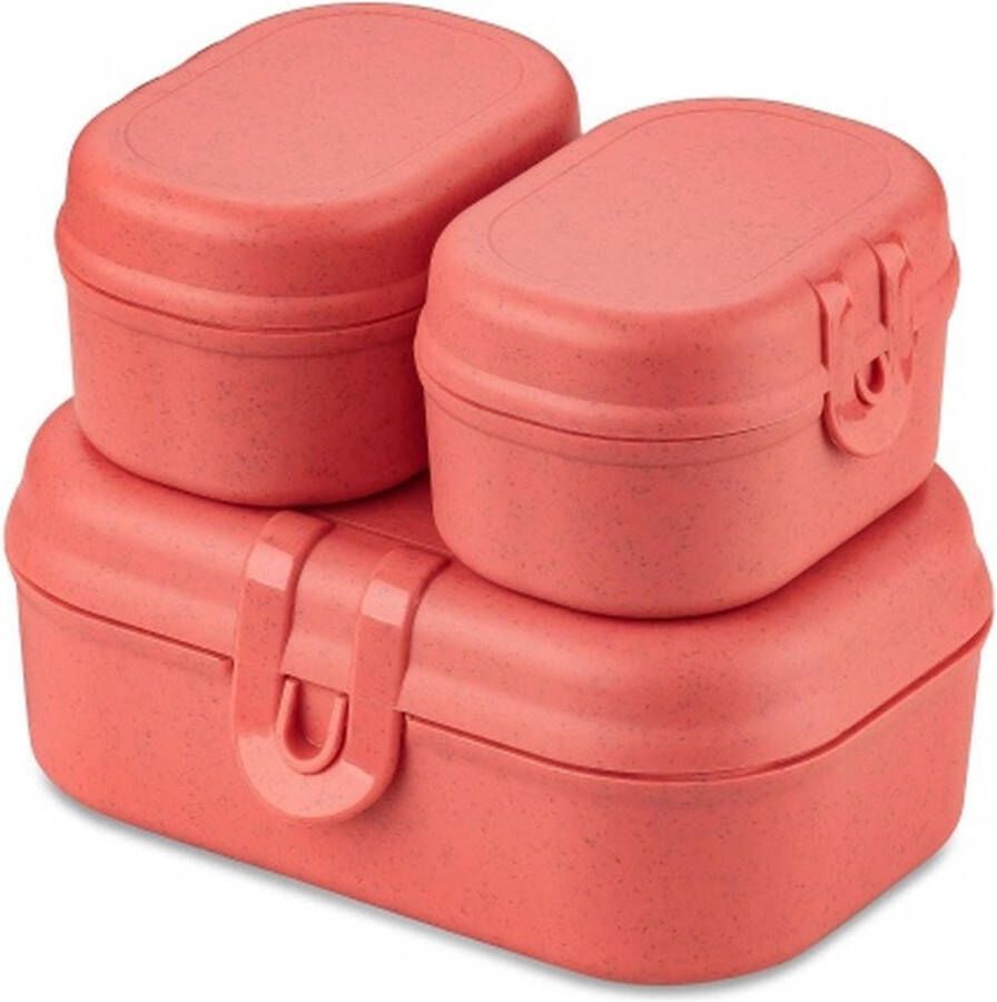 Koziol Lunchbox Set Mini 3 Delig Organic Natuur Koraal | Pascal Ready Mini