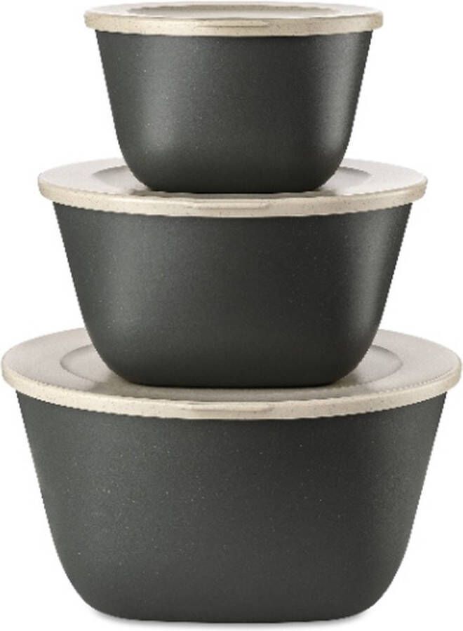 Koziol Bio-Circulair Connect Box Schaal met Deksel Stockholm Set van 3 Stuks Gerecycled Zonnebloemolie Grijs