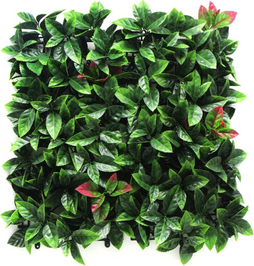Kunsthaag Specialist Set van 5 m2 Kunsthaag Photinia CCGA008