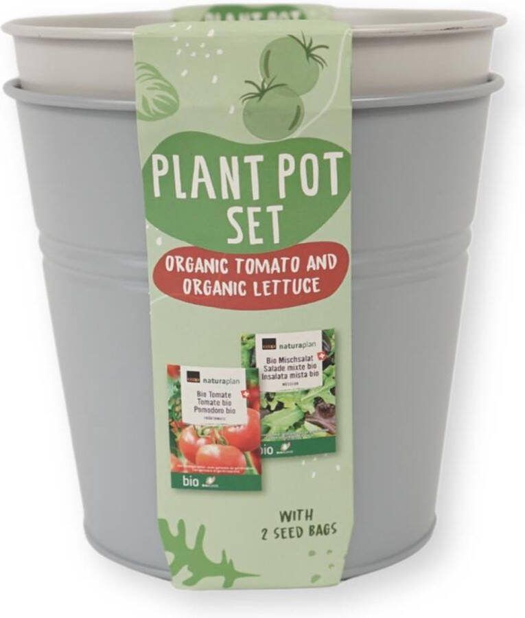 Budgetland (R) Kweekset bio tomaten en sla 17 cm THT 2025