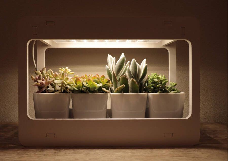 Labou SMART GARDEN met groeiverlichting -Kweekset -Indoor Garden Kweekkasjes -Kweekbak -Kweekkas binnen -Kweekkas vensterbank -Groeilamp Kweektafel Kweeklamp -Click and Grow Kruidenpot Kruiden kweken