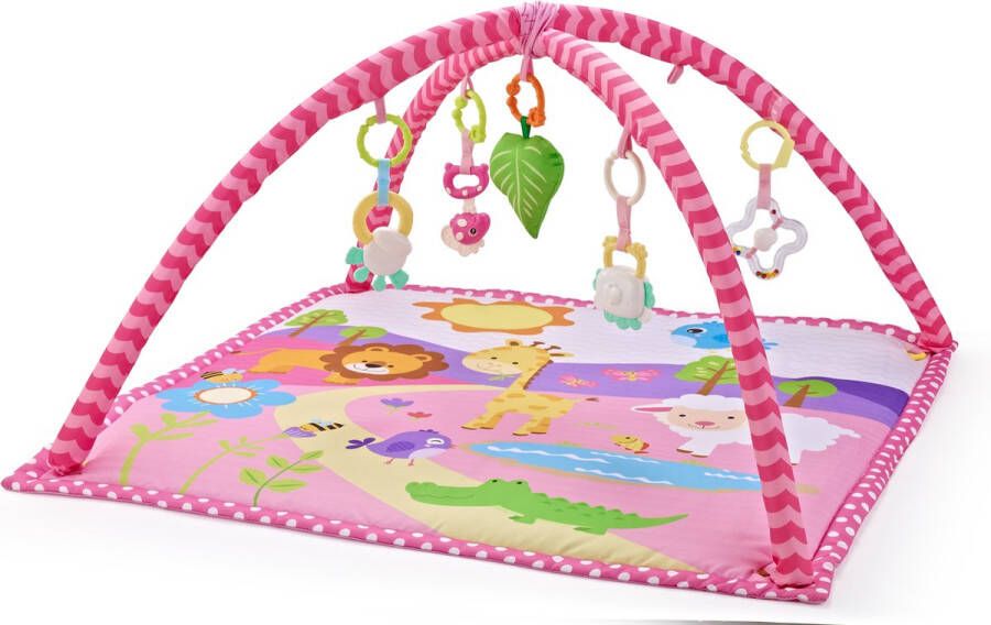 Ladanas BabyGym Wonderervaring: ULTIEM & KLEURRIJK Speelkleed 3in1 Ballenbak met 30 Ballen + 5 Leerzame Speeltjes STIMULEERT ACTIEVE ONTWIKKELING VANAF 0M+