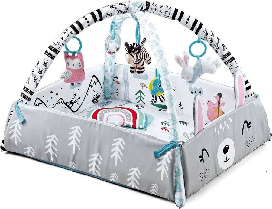 Ladanas UITKLAPBARE 5in1 Speelmat Baby met Boog 0m+ – Babygym met STIMULERENDE speeltjes & BALLENBAK incl. 20 ballen Ontdek Ultiem Speelplezier!