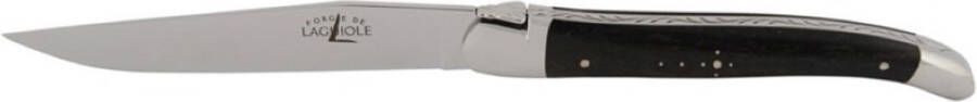 Laguiole steakmes ébène brillant set van 2
