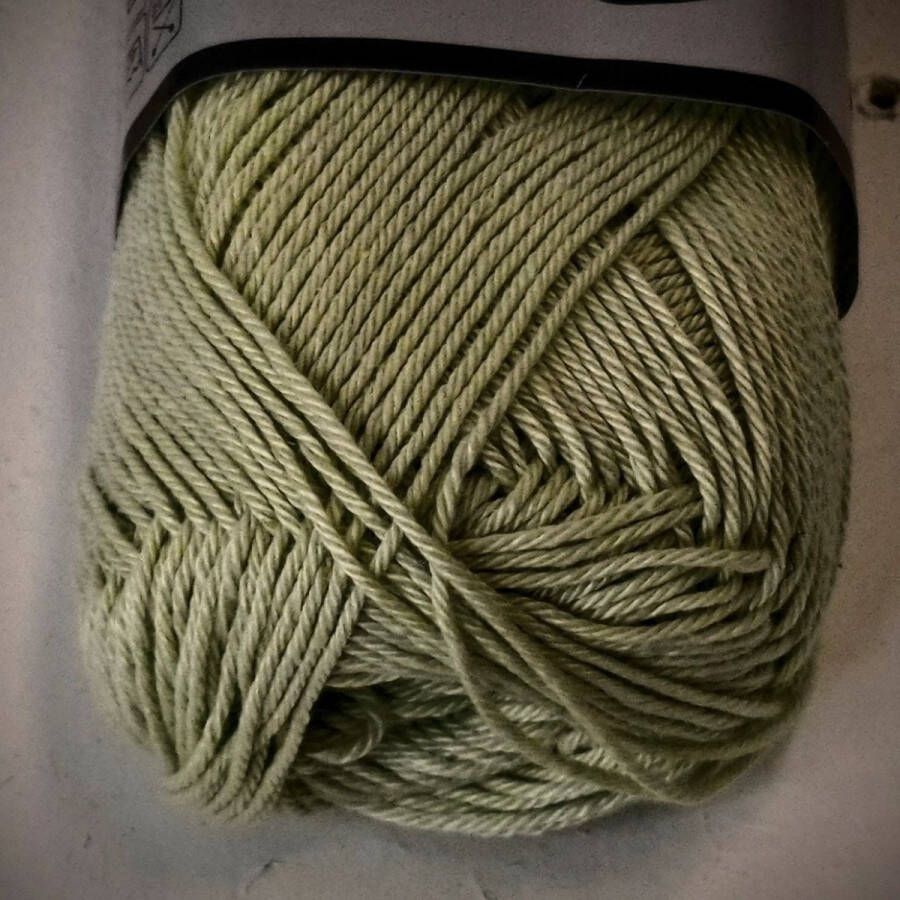 Lammy Yarns Rio katoen garen fris mint (045) pendikte 3 a 3 5 mm 1 bol van 50 gram