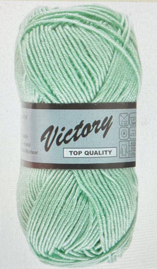 Lammy Yarns GAREN-VICTORY 062- -PER 5 STUKS-BREIEN EN HAKEN