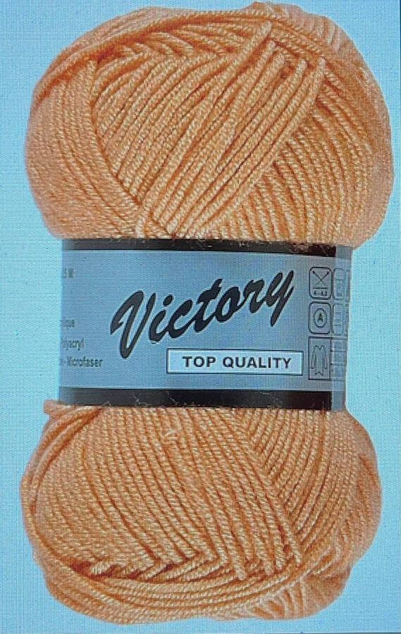 Lammy Yarns GAREN-VICTORY 216- -PER 5 STUKS-BREIEN EN HAKEN