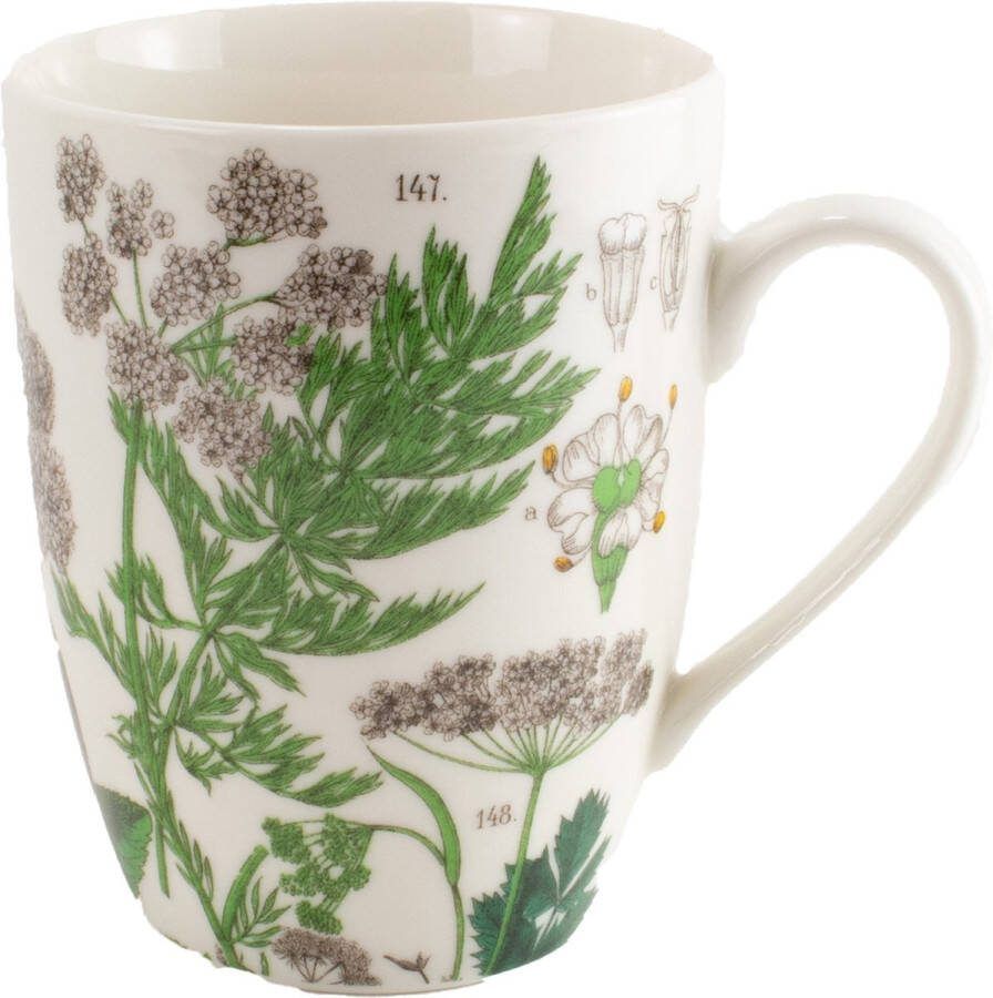 Lanzfeld (museumwebshop.com) Mok Zevenblad Hortus Botanicus