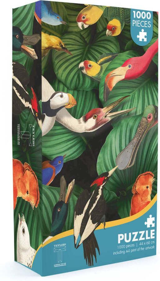 Lanzfeld (museumwebshop.com) Puzzel 1000 stukjes Teylers Museum Vogel pracht