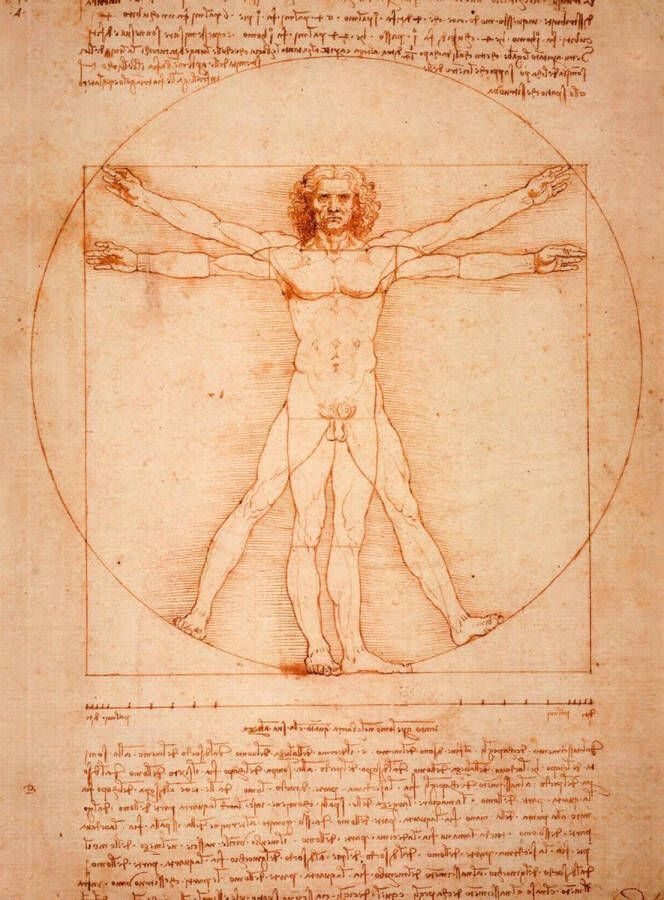 Lanzfeld (museumwebshop.com) Schetsboek Leonardo Da Vinci De mens van Vitruvius