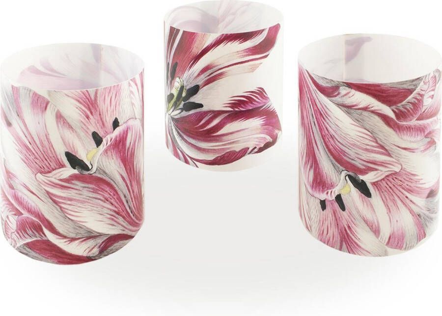 Lanzfeld (museumwebshop.com) Windlichtjes Merian Drie tulpen