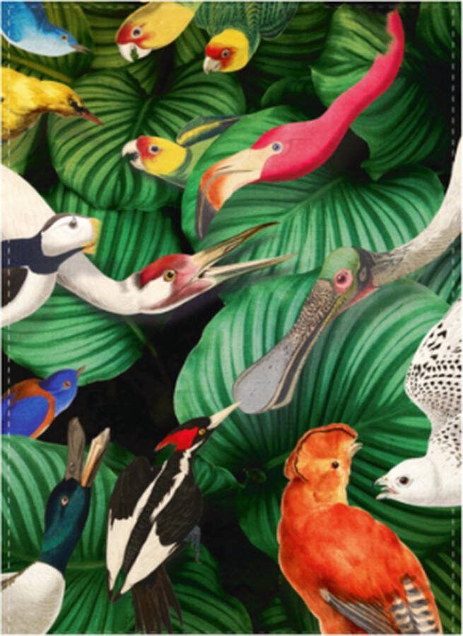 LANZFELD Theedoek Vogelpracht Teylers museum 50 x 70 cm