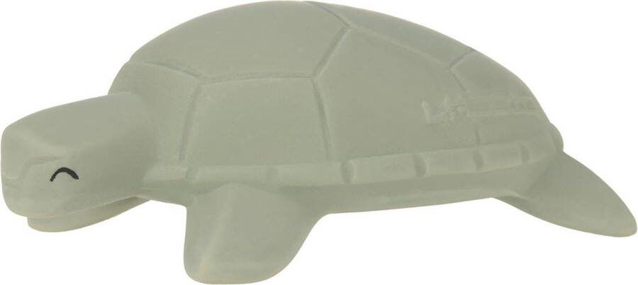 Lässig Laessig Turtle Badspeeltje