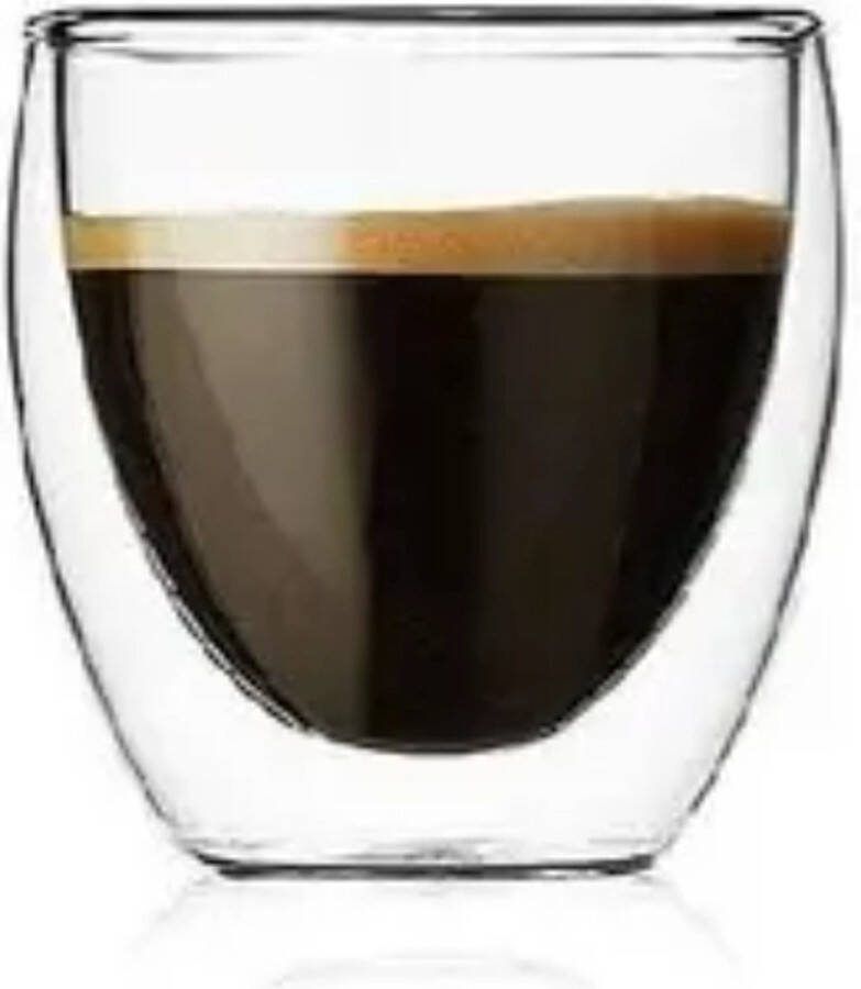 Le Vaisselier Dubbelwandige borosilicaat glazen 6 stuks 250 ml Koffieglazen Theeglas Cappuccino glazen dubbenwandigglas zonder oor
