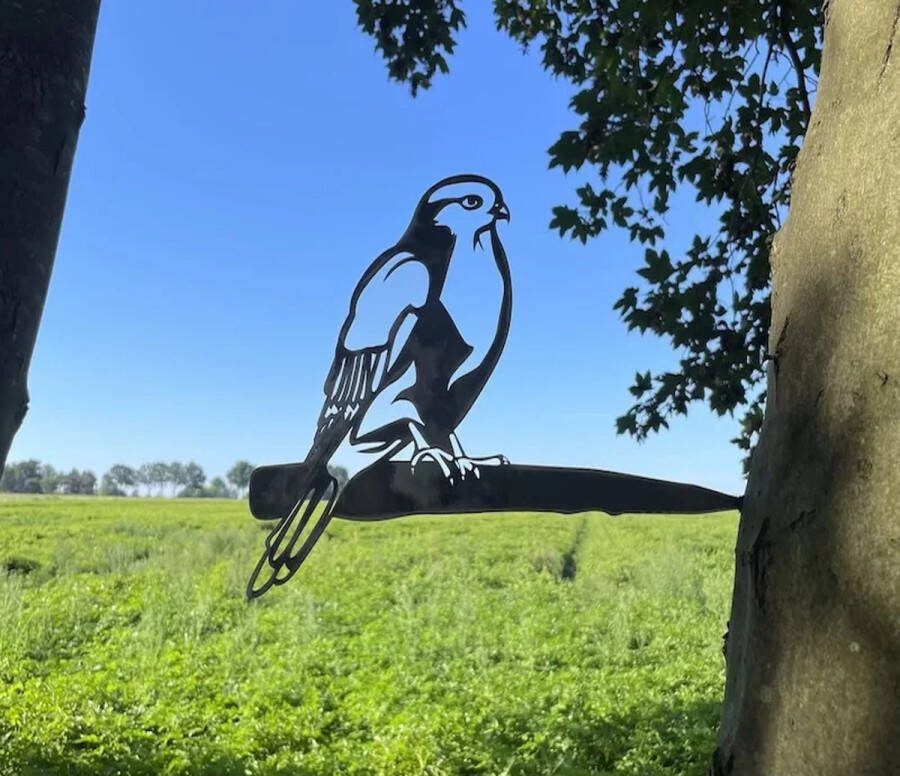 Leafbird Metalen Vogel Tuinsteker Roest Tuindecoratie voor buiten Boomdecoratie Buizerd