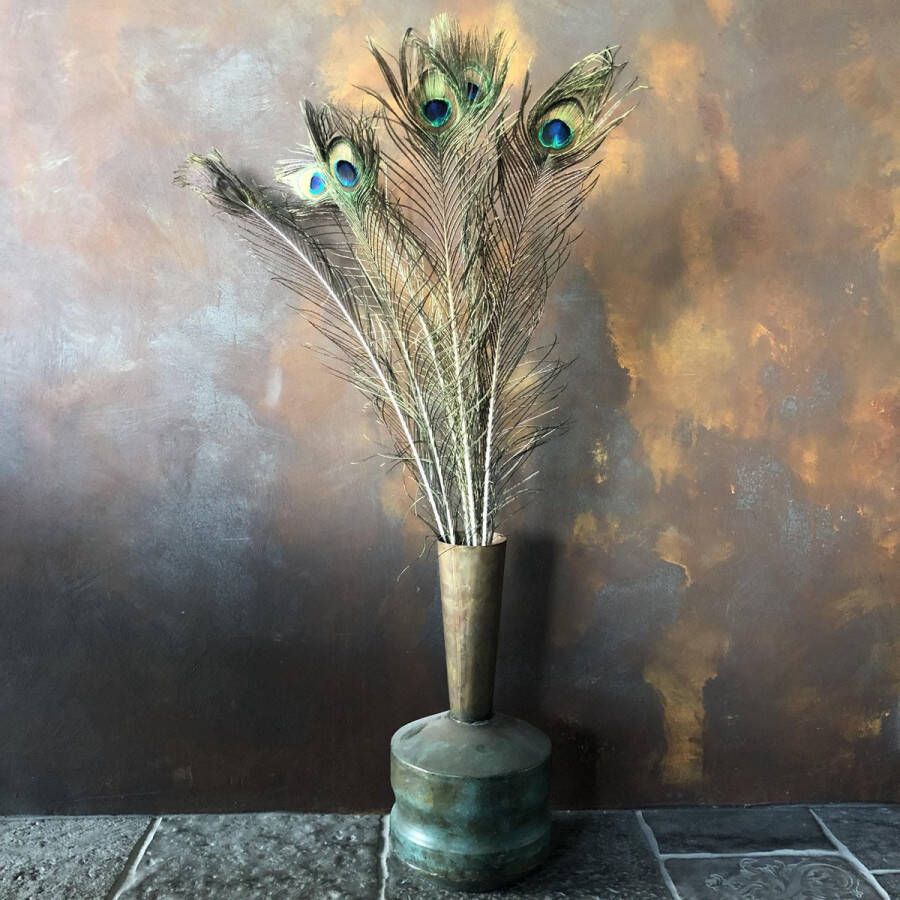 Lelly's Bloemen Pauwenveren 100 cm 10 stuks pauw veren Droogbloemen