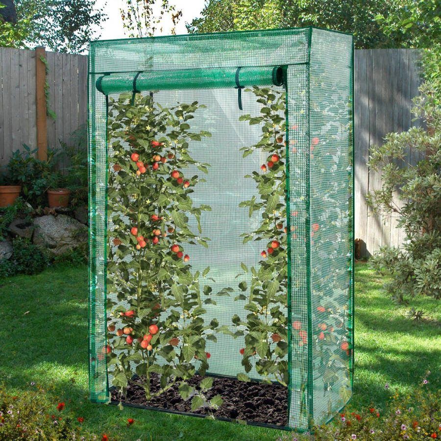 Lendo Online Tomatenkas met PE waterdichte hoes 100x50x150cm staal groen Tuinkas Broeikas Kas Serre Kweekkas Foliekas Groentekas