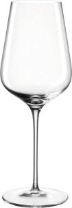 LEONARDO Wittewijnglas BRUNELLI (rieslingglas) 470 ml 6-delig (set)