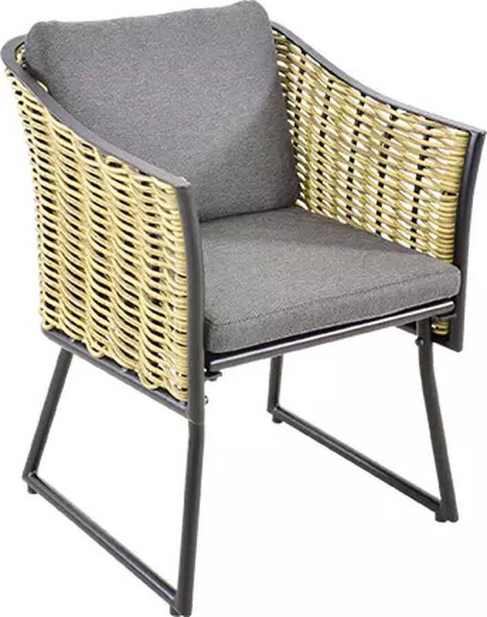 Express Solamente antraciet wicker tuinstoelen Set van 2 stuks