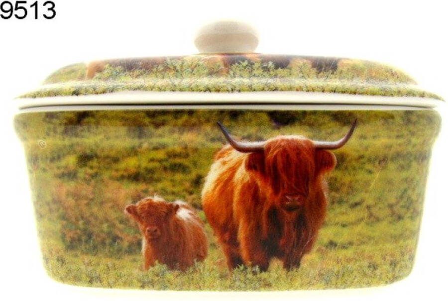 Lesser & Pavey Botervloot Schotse Hooglander