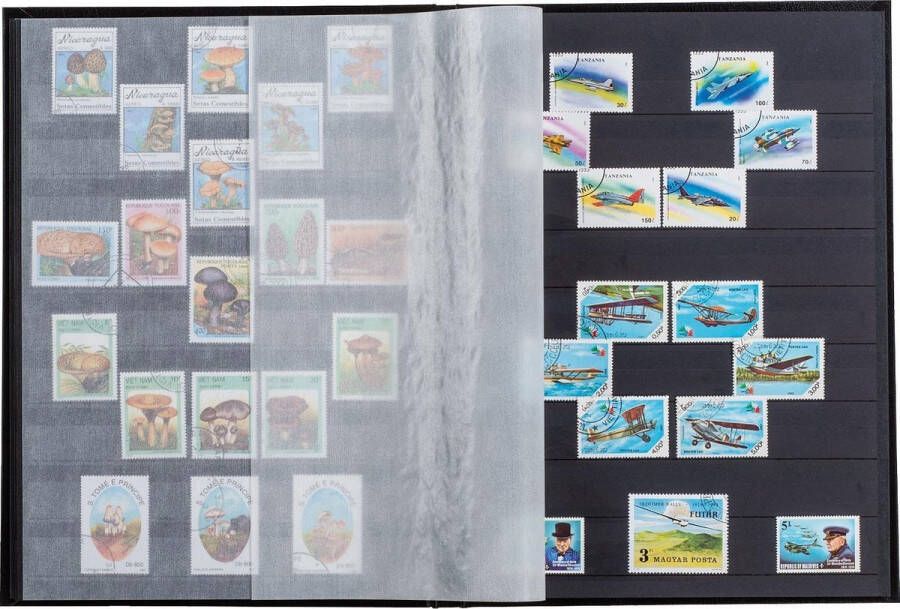 Leuchtturm Postzegelinsteekalbum Basic S 16 zwarte bladzijden blauwe kaft